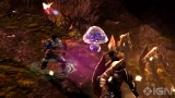 Dungeon Siege III (Limited Edition) (PC) - Pseudo