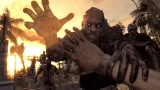 Dying Light: The Following (Enhanced Edition) (PC)