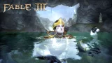 Fable III CZ (PC)