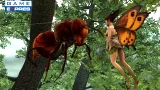 Faery: Legends of Avalon (PC)