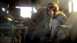 Far Cry 4 CZ (Kyrat Edition) (PC) - FPS
