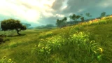 Guild Wars 2 (Heroic Edition) (PC) - Fantasy