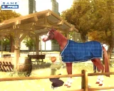 Horsez 2: Vzhúru do sedel (PC)