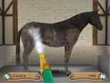 Hřebčín U Bílého potoka (PC)