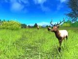 Hunting Unlimited 2010 (PC)