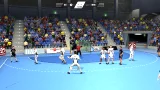 IHF Handball Challenge 14 (PC) - Bigben Interactive