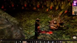Neverwinter Nights: Enhanced Edition (PC)