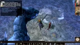 Neverwinter Nights: Enhanced Edition (PC)
