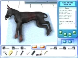 Ordinácia pre zvieratká (PC) - Imagine Pet Hospital