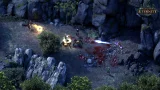 Pillars of Eternity (Hero Edition) (PC) - fallout