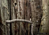 Samorost 2 (PC)