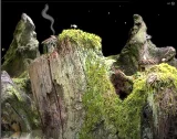 Samorost 2 (PC)