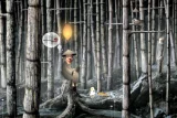 Samorost 2 (PC)