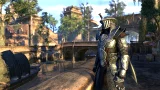 The Elder Scrolls Online: Morrowind (Collectors Edition) (PC)