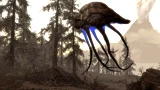 The Elder Scrolls V: Skyrim CZ - Dragonborn (datadisk) (PC)