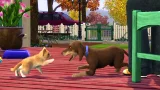 The Sims 3: Domácí Mazlíčci (PC)