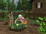 The Sims 3: Horské lázně (kolekce) (PC)
