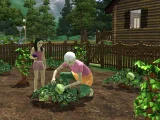 The Sims 3 (Kolekce světů) (PC)