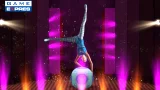 The Sims 3: Showtime (Sběratelská edice - Katy Perry) (PC)
