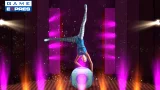 The Sims 3: Showtime (PC)