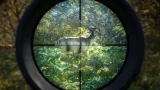 theHunter: Call of the Wild (PC)
