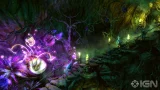 Trine 2 (Collectors Edition) (PC) - TrineII