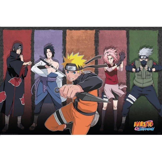 Plagát Naruto Shippuden - Naruto andamp; Allies