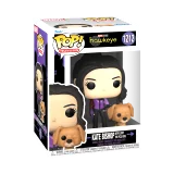Figúrka Marvel: Hawkeye - Kate Bishop with Lucky the Pizza Dog (Funko POP! Television 1212)
