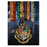 Deka Harry Potter - Hogwarts Schools