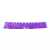 Modelársky porast AK - Purple-pink tufts (4,5 mm) - Warhammer 40000