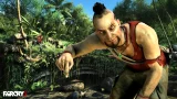 Far Cry 3 (PS3)