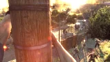 Dying Light: The Following (Enhanced Edition) (PS4)