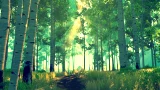 Firewatch (PS4) - survival