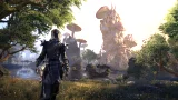 The Elder Scrolls Online: Morrowind (PS4)