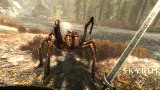 The Elder Scrolls V: Skyrim VR (PS4)