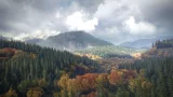 theHunter: Call of the Wild (PS4)
