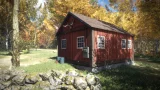 theHunter: Call of the Wild (PS4)