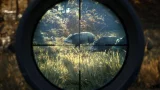 theHunter: Call of the Wild (PS4)