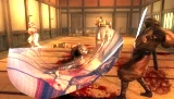 Ninja Gaiden Sigma Plus (PSVITA)