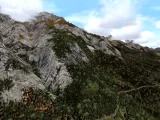 Flight Simulator 2004 - Austria Professional