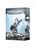 W40k: Space Wolves - Njal Stormcaller (1 figúrka)