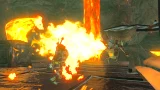The Legend of Zelda: Breath of the Wild (Limited Edition) (SWITCH)