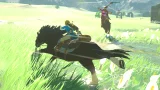 The Legend of Zelda: Breath of the Wild (Limited Edition) (SWITCH)
