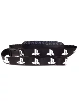 Ľadvinka PlayStation - Symbols