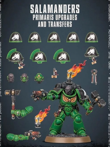 W40k: Salamanders Primaris Upgrades and Transfer