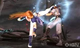 Dead or Alive Dimensions (WII)