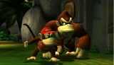 Donkey Kong: Country Returns (WII)