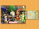 Final Fantasy Crystal Chronicles: Echoes of Time (WII)