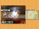 Final Fantasy Crystal Chronicles: Echoes of Time (WII)