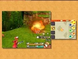 Final Fantasy Crystal Chronicles: Echoes of Time (WII)